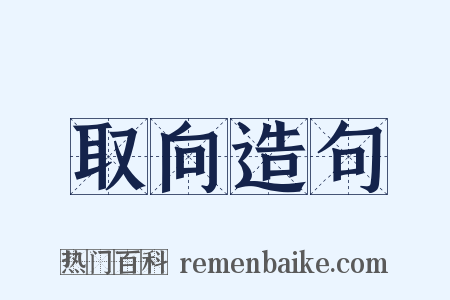 取向造句是什么意思的图片